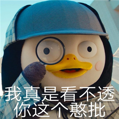 《抖音》小企鹅Pengsoo沙雕表情包分享