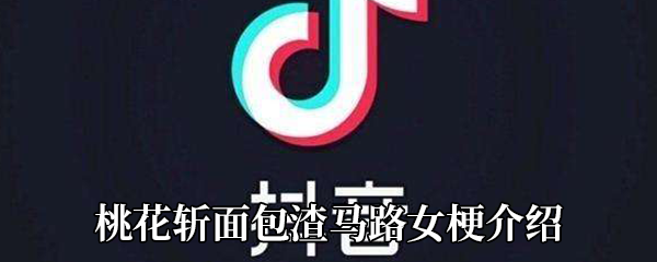 《抖音》桃花斩面包渣马路女梗介绍