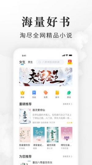 盛世小说赚钱版