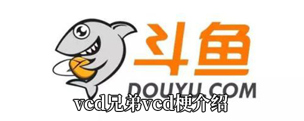 vcd兄弟vcd梗介绍