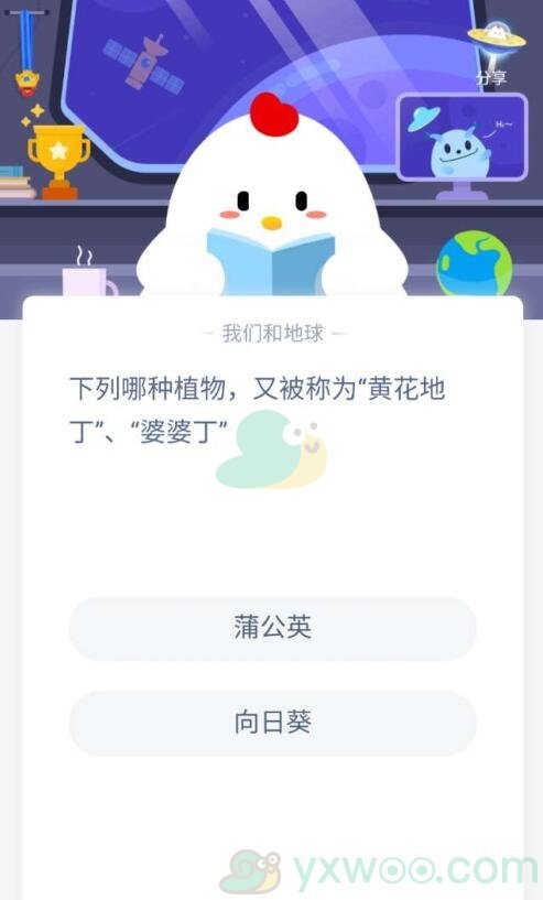 下列哪种植物，又被称为“黄花地丁”、“婆婆丁”？