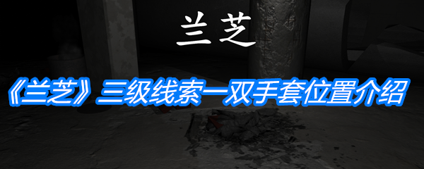 《孙美琪疑案：兰芝》三级线索一双手套位置介绍