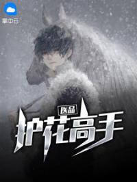 歪嘴战神原小说介绍