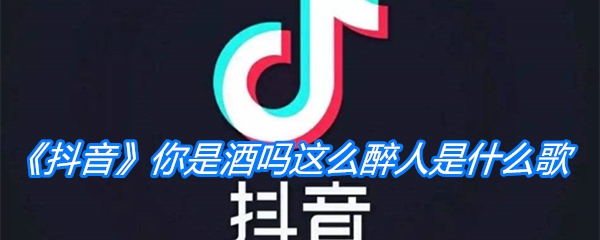 《抖音》你是酒吗这么醉人是什么歌