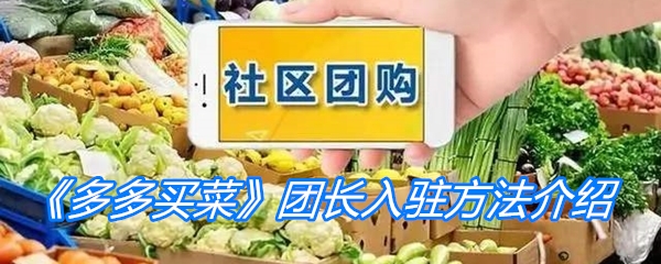 《多多买菜》团长入驻方法介绍