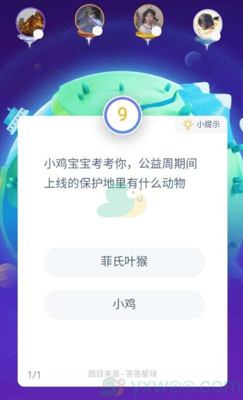 小鸡宝宝考考你，公益周期间上线的保护地里有什么动物?