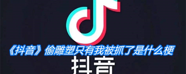 《抖音》偷雕塑只有我被抓了是什么梗