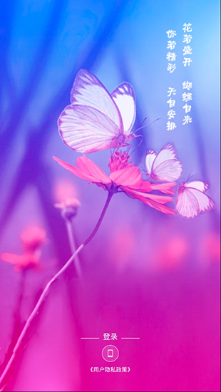 蝴蝶飞直播隐藏房间免费观看