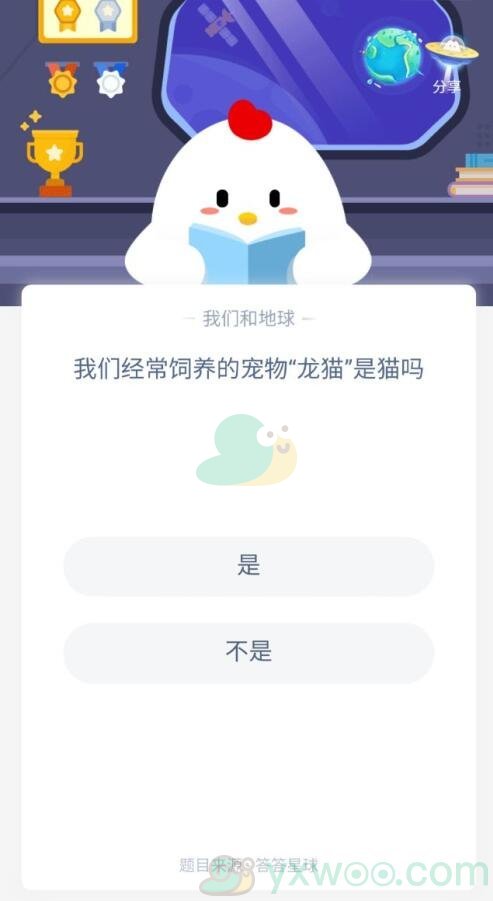 我们经常饲养的宠物龙猫是猫吗？