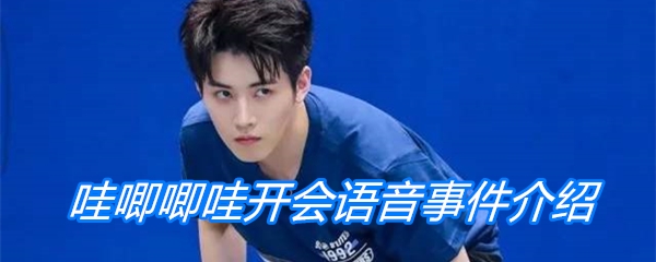 哇唧唧哇开会语音事件介绍