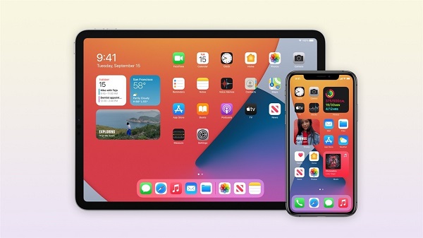 ios14.2开发者描述文件