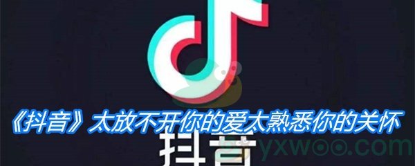 《抖音》太放不开你的爱太熟悉你的关怀歌曲分享