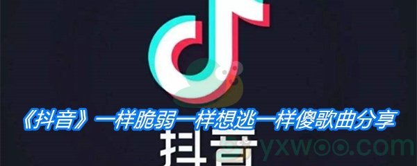 《抖音》一样脆弱一样想逃一样傻歌曲分享