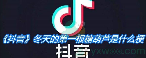 《抖音》冬天的第一根糖葫芦是什么梗