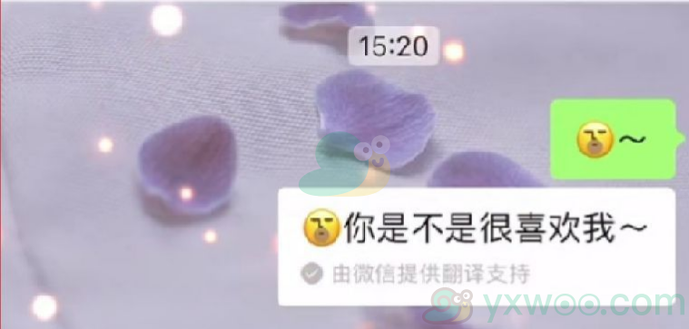 《微信》表情翻译你是不是很喜欢我方法介绍