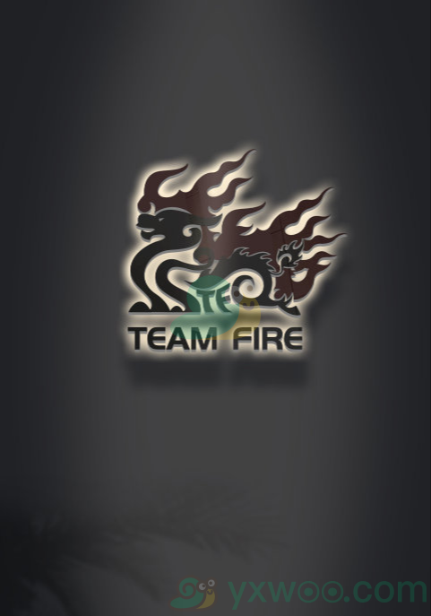 《英雄联盟》Team Fire战队介绍