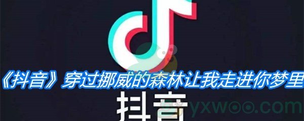 《抖音》穿过挪威的森林让我走进你梦里歌曲分享