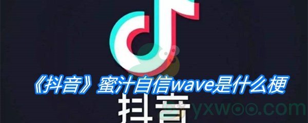 《抖音》蜜汁自信wave是什么梗