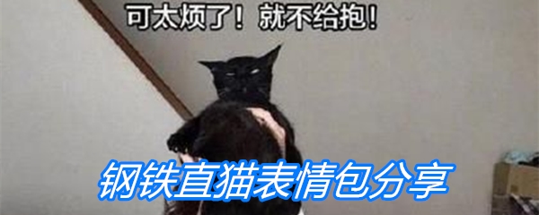 钢铁直猫表情包分享