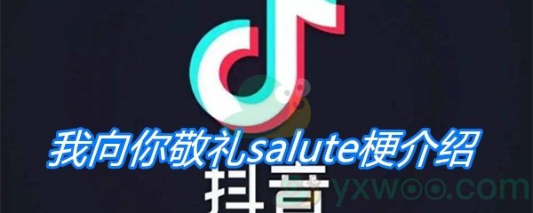 我向你敬礼salute梗介绍