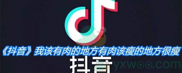 《抖音》我该有肉的地方有肉该瘦的地方很瘦歌曲分享