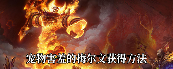 《魔兽世界》9.0宠物害羞的梅尔文获得方法