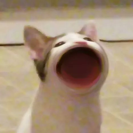 popcat表情包分享