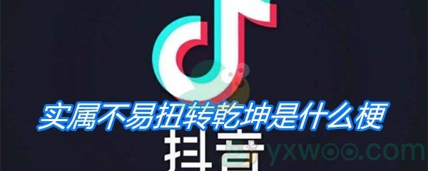 实属不易扭转乾坤是什么梗