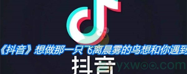 《抖音》想做那一只飞离晨雾的鸟想和你遇到是什么歌