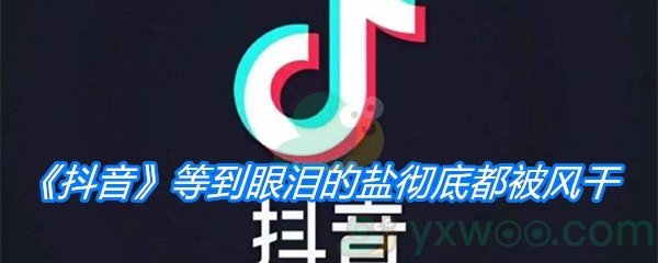 《抖音》等到眼泪的盐彻底都被风干是什么歌