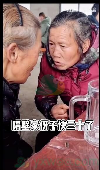 被邻居大妈支配的恐惧是什么梗