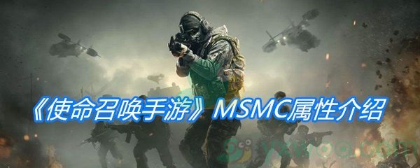 《使命召唤手游》MSMC属性介绍