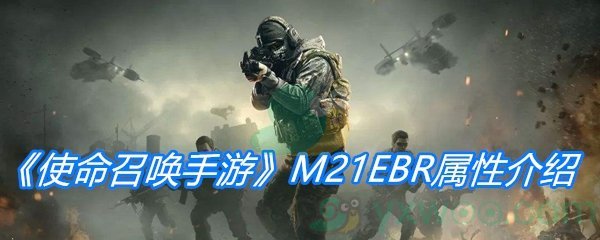 《使命召唤手游》M21EBR属性介绍