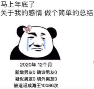 2020年底感情总结表情包