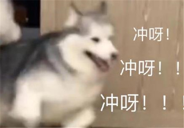 2020最后一天图片