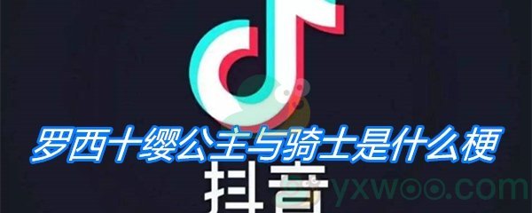 罗西十缨公主与骑士是什么梗