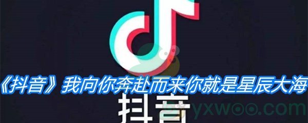 《抖音》我向你奔赴而来你就是星辰大海是什么歌