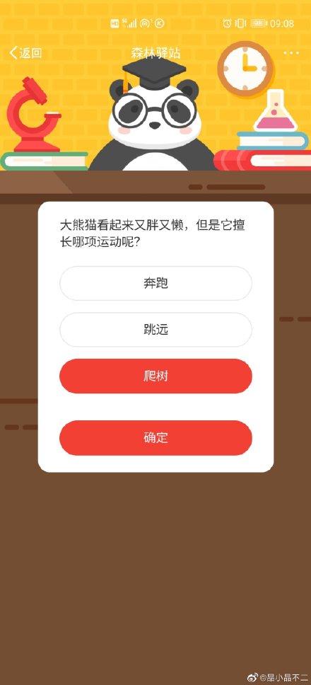 《微博》森林驿站大熊猫擅长哪项运动