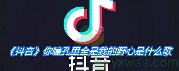 《抖音》你瞳孔里全是我的野心是什么歌