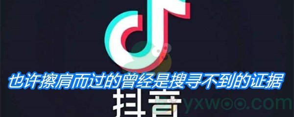 《抖音》也许擦肩而过的曾经是搜寻不到的证据是什么歌