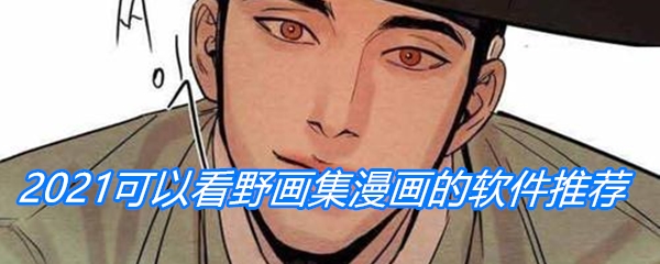 2021可以看野画集漫画的软件推荐