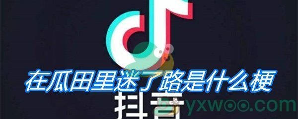 在瓜田里迷了路是什么梗