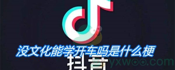 没文化能学开车吗是什么梗