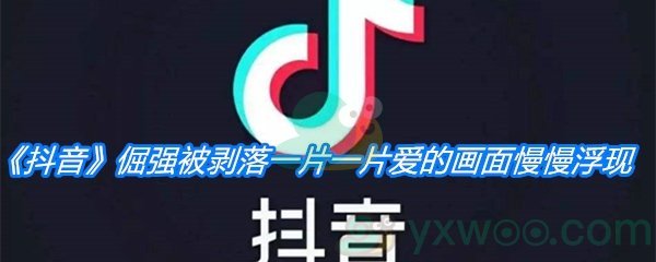 《抖音》倔强被剥落一片一片爱的画面慢慢浮现是什么歌