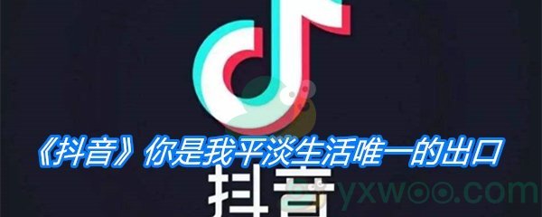 《抖音》你是我平淡生活唯一的出口是什么歌