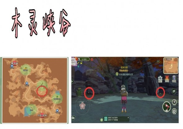 《小森生活》甲虫获得方法