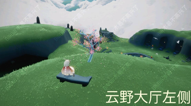 《Sky光遇》在云野赏一会花任务攻略