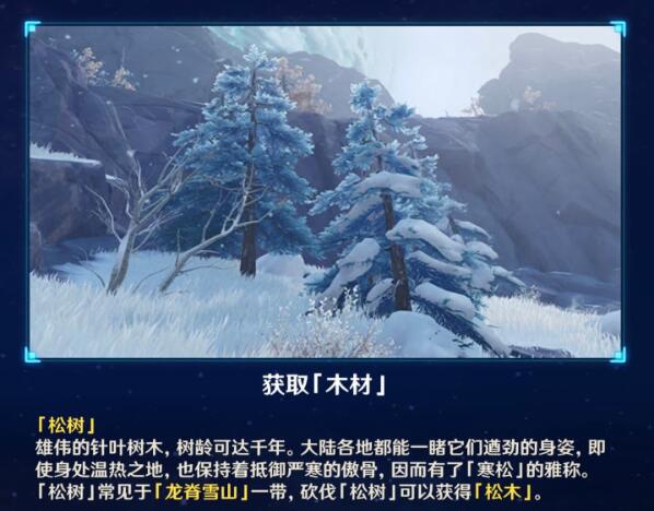 《原神》松木采集位置分享