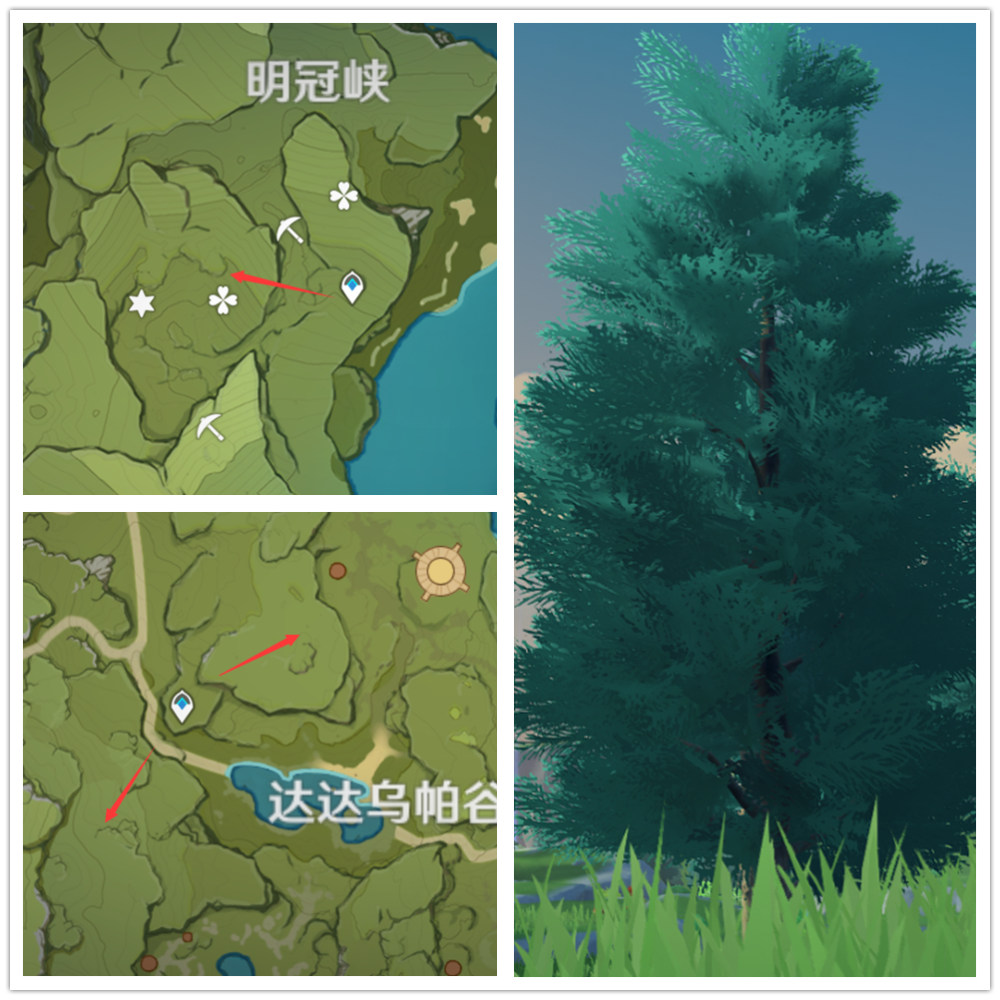 《原神》杉木采集位置分享