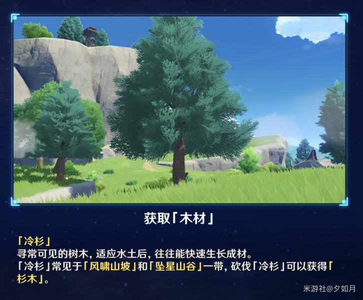《原神》杉木采集位置分享